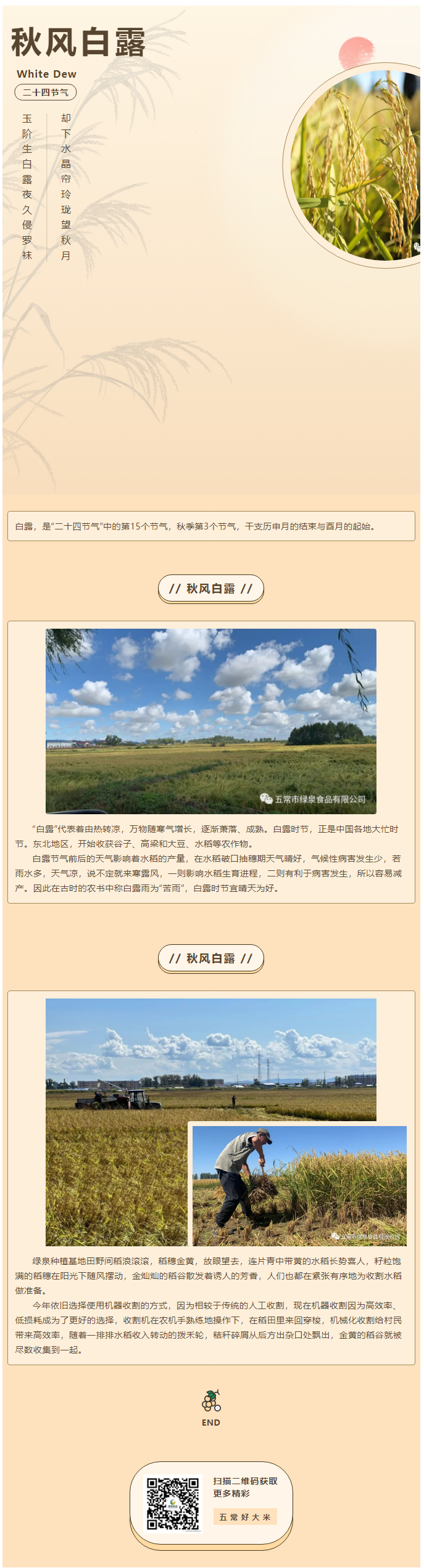 人間忽晚，山河已秋——水稻收割倒計時！.png